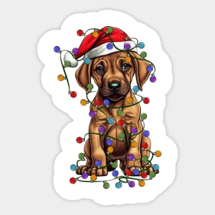 Christmas Puppy Sticker